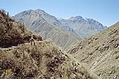 Colca Canyon